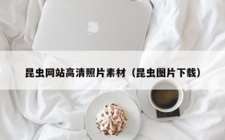 牡丹江昆虫网站高清照片素材（昆虫图片下载）